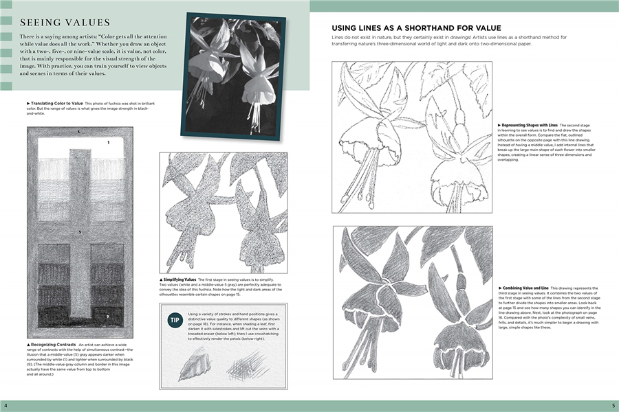 Title: Mastering the Art of Simple Line Drawings: Creating a Tie in Easy Steps