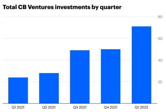 Feather and Down Market Outlook