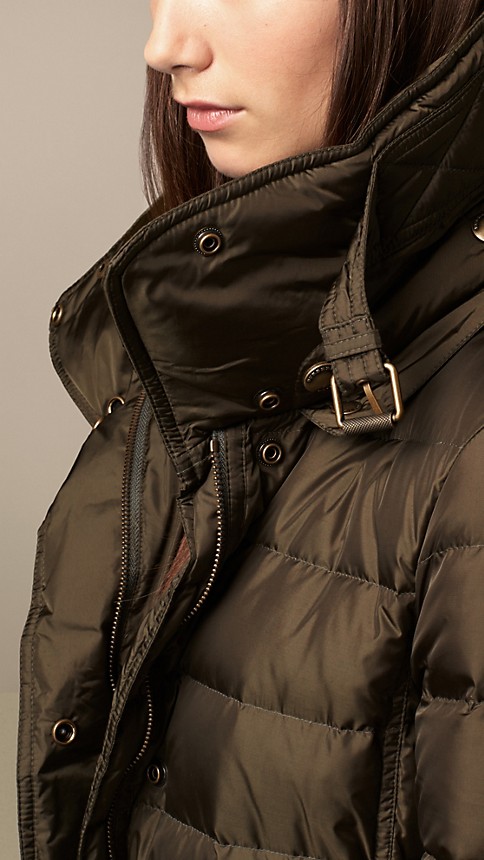 Title: The Collar of a Down Jacket: A Fashion Focuser