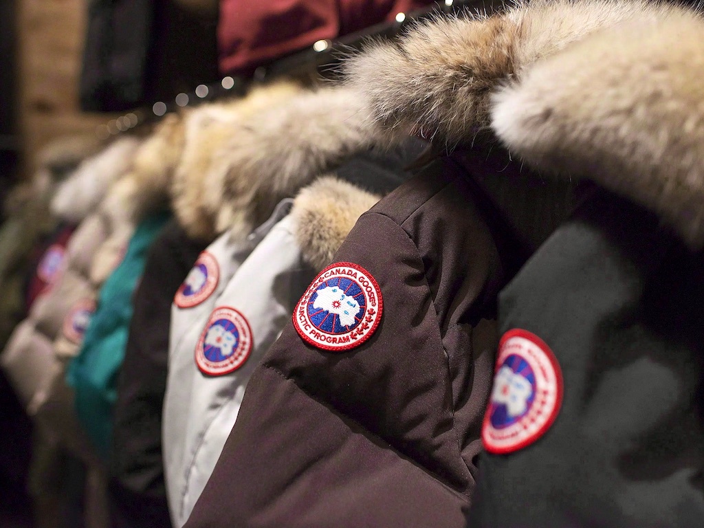 Canada Goose Down: The Ultimate Guide to Staying Warm This Winter