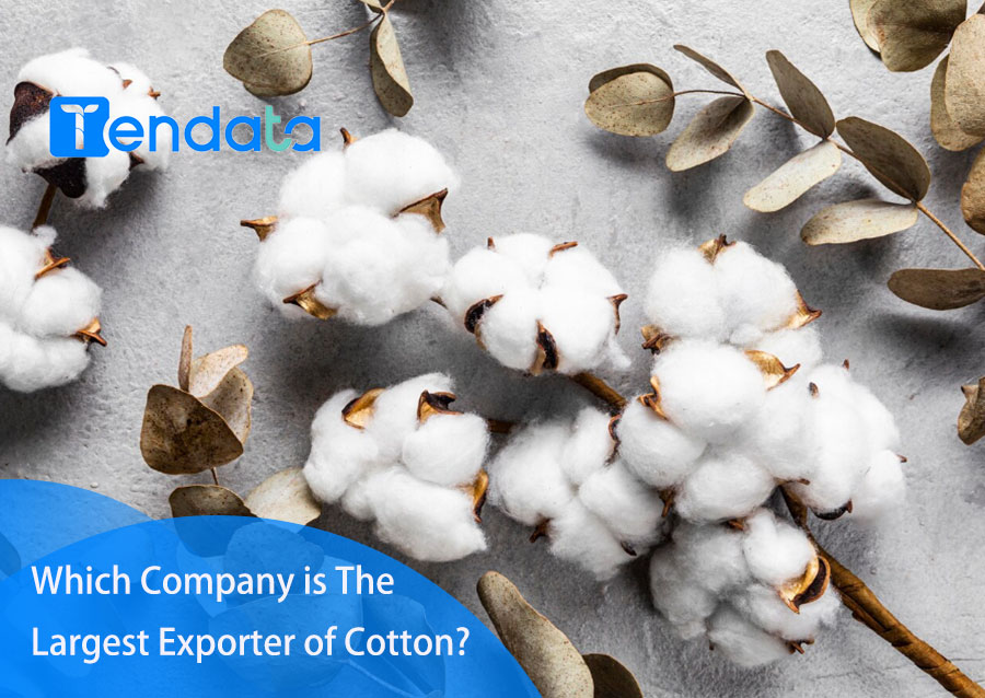 Which is better: down or down cotton?