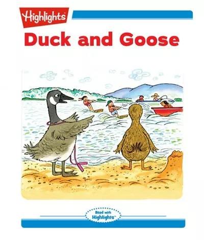 The Comparison between Duck Down and Goose Down: Which One is Better?