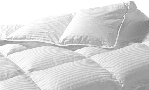 Feather Duvet Filling Guide