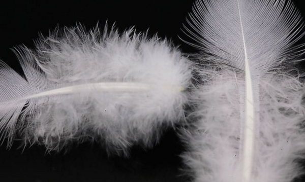 Feather Down for Winter Jackets: What are the Options?