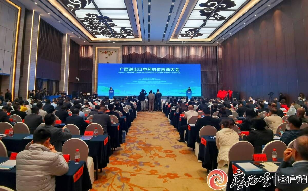 Title: Guangxi Province Decoration Association: Fostering Excellence in the Industry