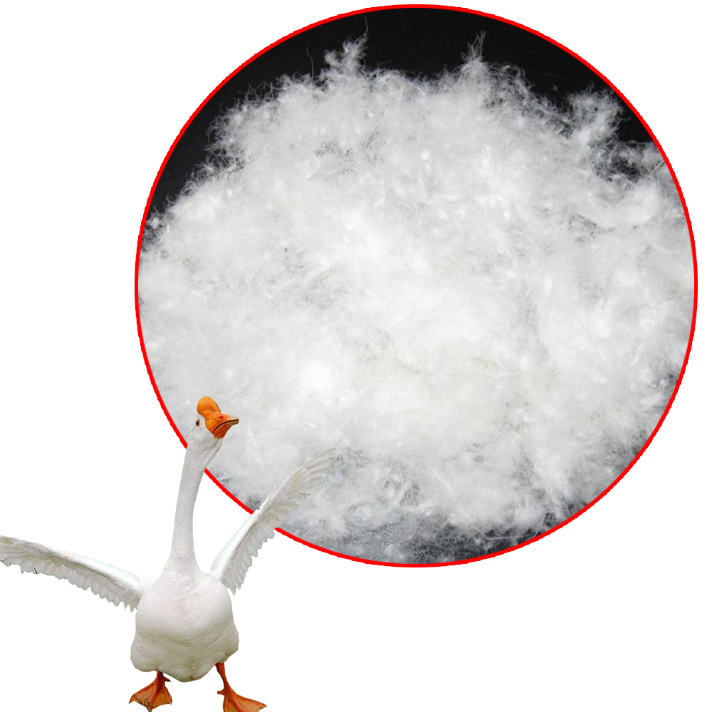 White Duck Feather and Cotton Down: A Comparison of Warmth and Comfort