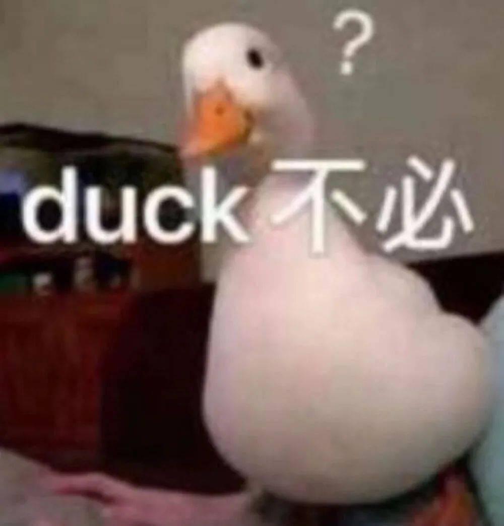 Duck-Duck羽绒服代理，时尚与品质的完美结合