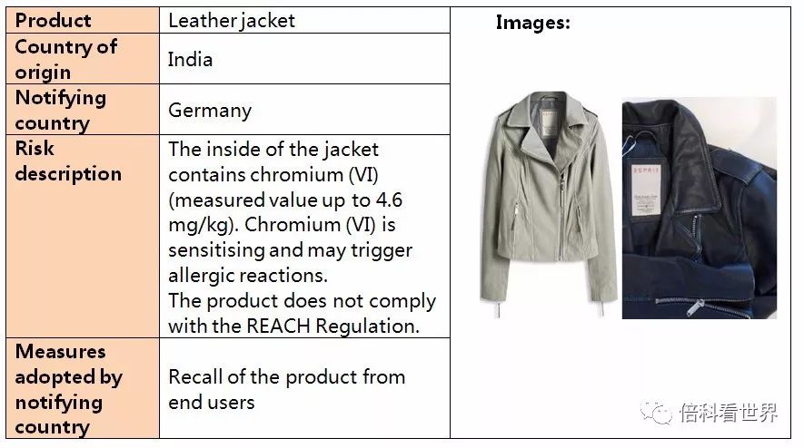 Top 5 Brands of Jackets with High Cost-Performance Ratio