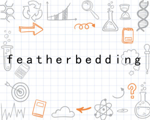 Difference between Feather Bed and Down Bed