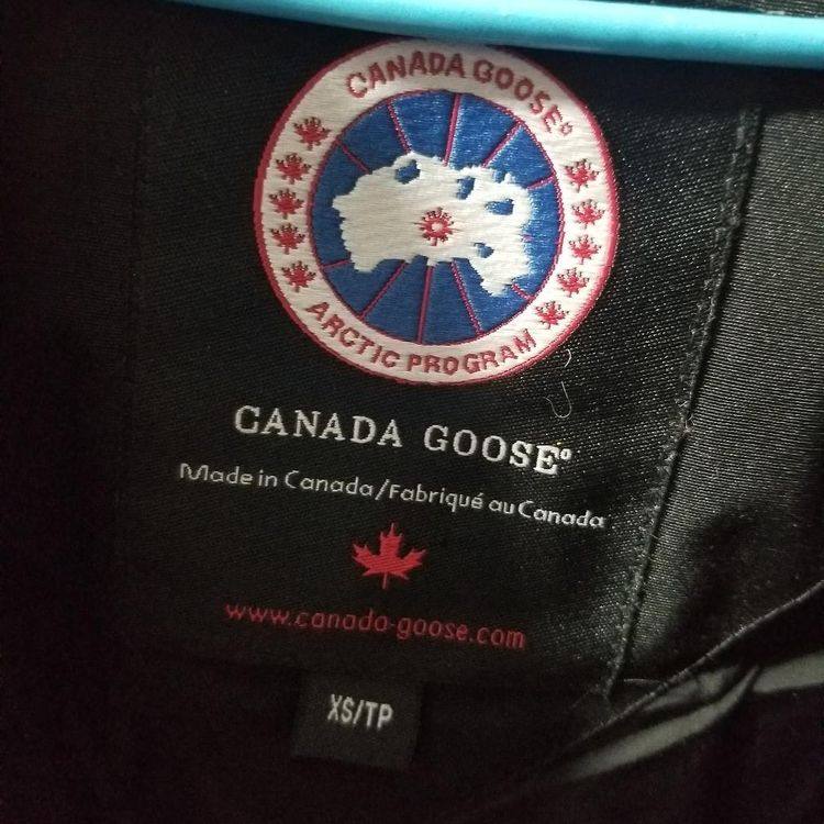 The Canadian Goose羽绒服商标，起源、发展与影响