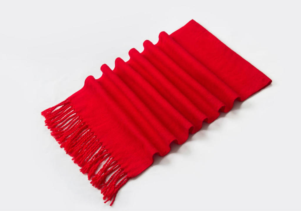 The Red Scarf at the Annual Meeting