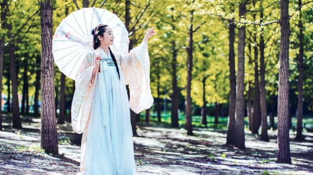 Exploring the Variety of Hanfu Womens Clothing: A Comprehensive Guide