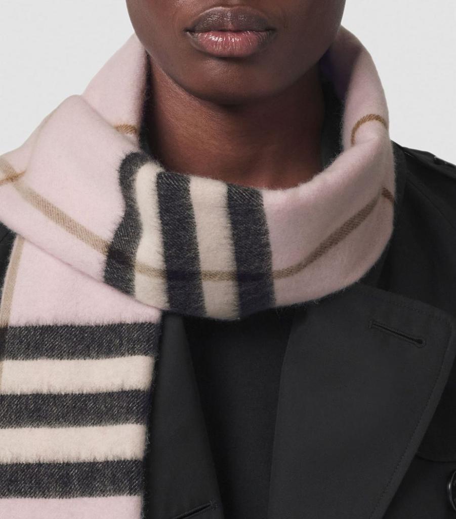 Burberry Scarf Labels: A Detailed Examination