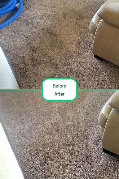 Carpet Cleaning Guide: Tips and Tricks for a Clean and Healthy Home