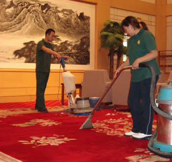 Carpet Cleaning Standards: Importance and Guidelines