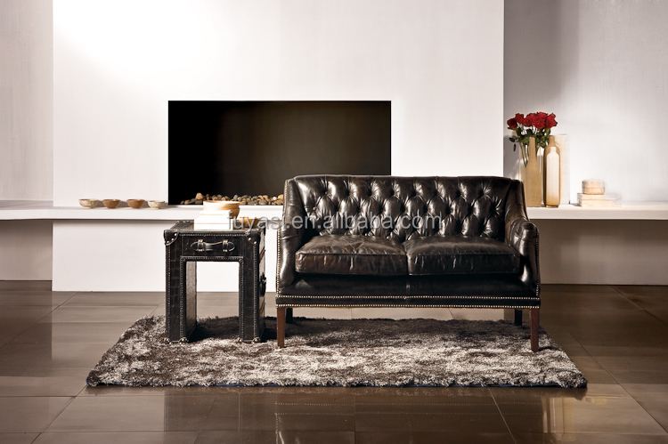 Title: The Enchanting European Sofa: A Masterpiece of Comfort and Style