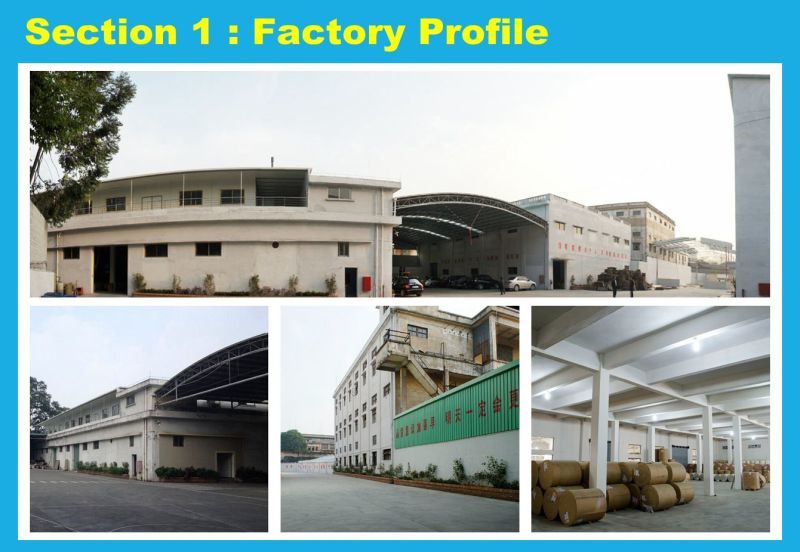 Shenzhen Carpet Factory: The Heart of Chinas Carpet Industry