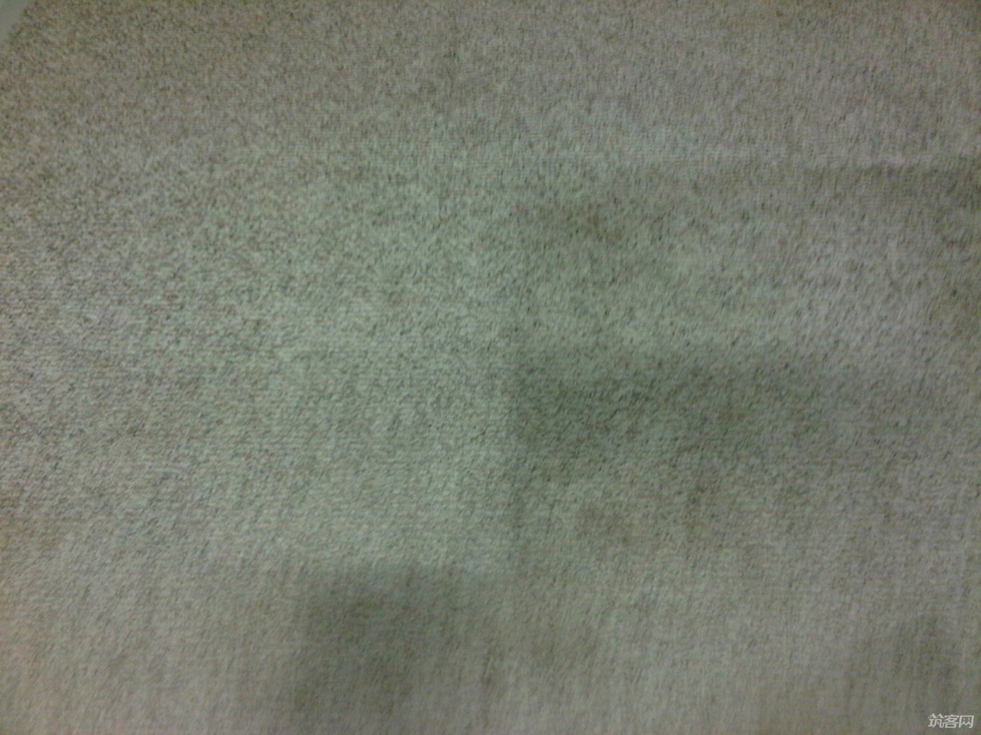 Office Carpet Cleaning: Importance and Best Practices