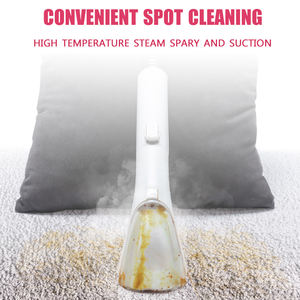 Steam Carpet Cleaner: Benefits and Uses