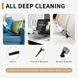 Steam Carpet Cleaner: Benefits and Uses