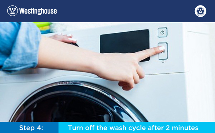 Can a Rug Be Washed in a Washing Machine?