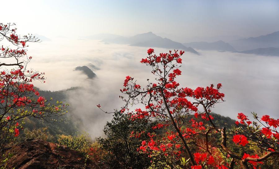 Exquisite Mountain Flowers: The Art of the Oriental Rug