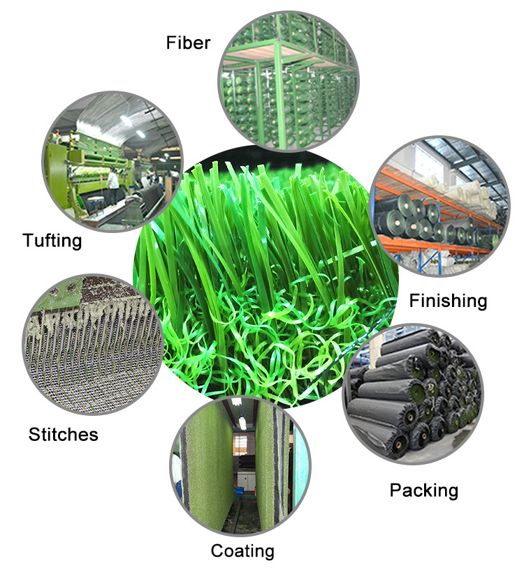 GreenCarpets: A Sustainable Solution to甲醛-Free Living