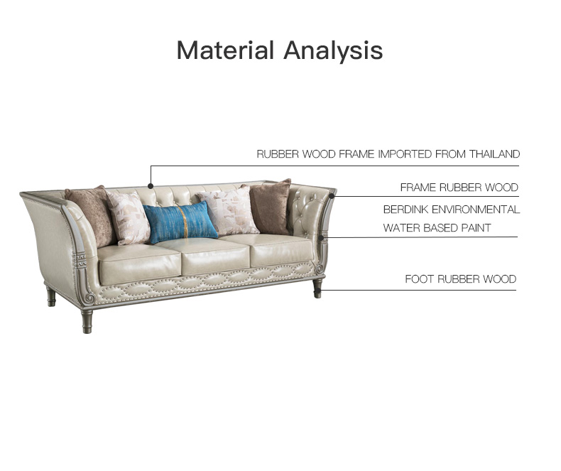 Title: The Perilous Consequences of Mold Growth on Leather Sofas