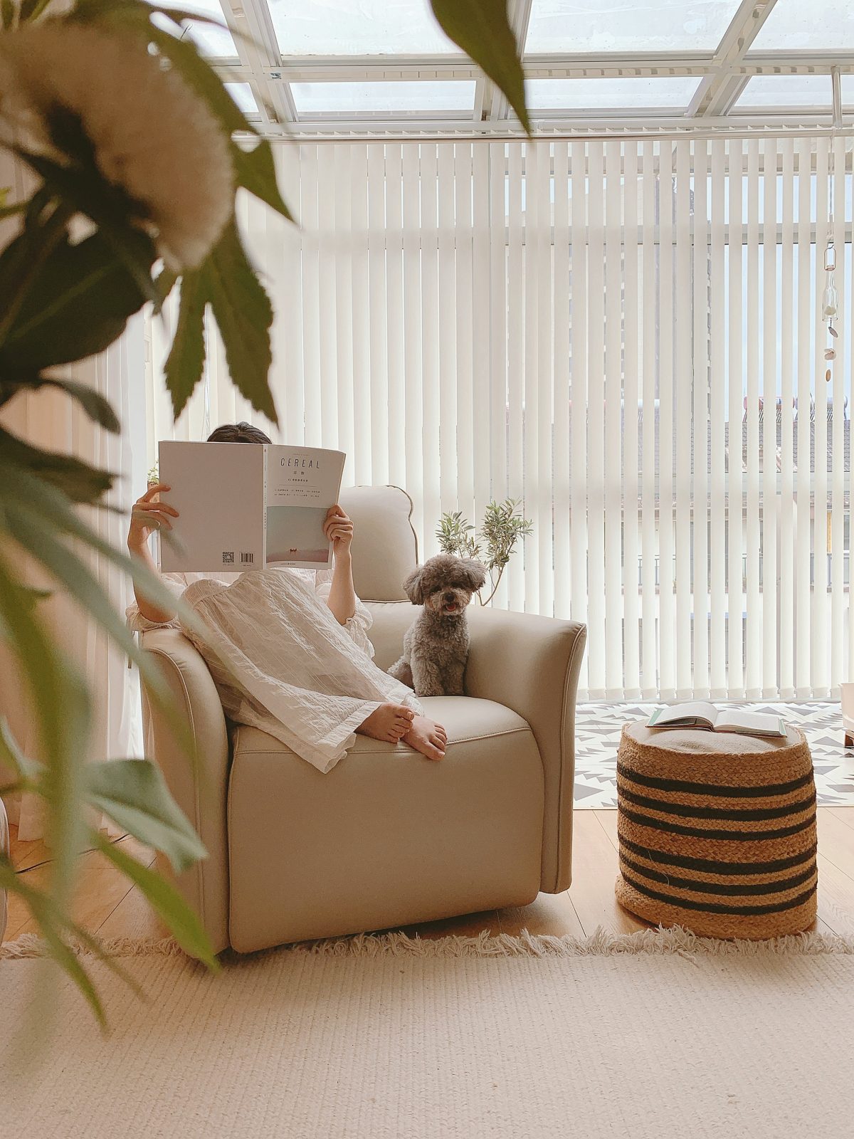 Title: Behind the Sofa, Theres a Window