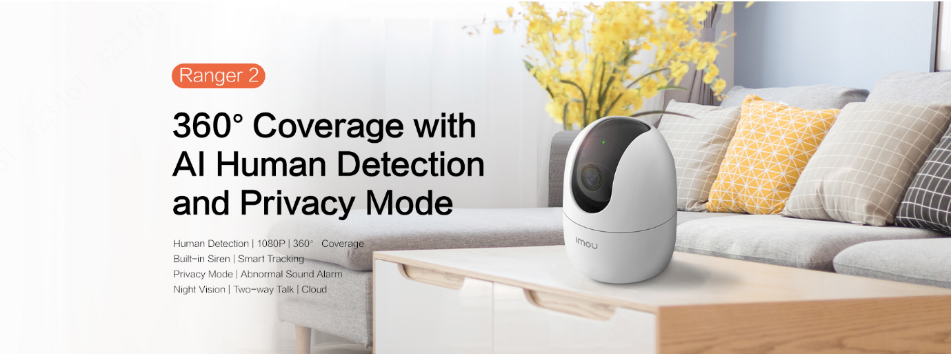 Title: Exploring the Features and Performance of Noa Sofa: A Comprehensive Review