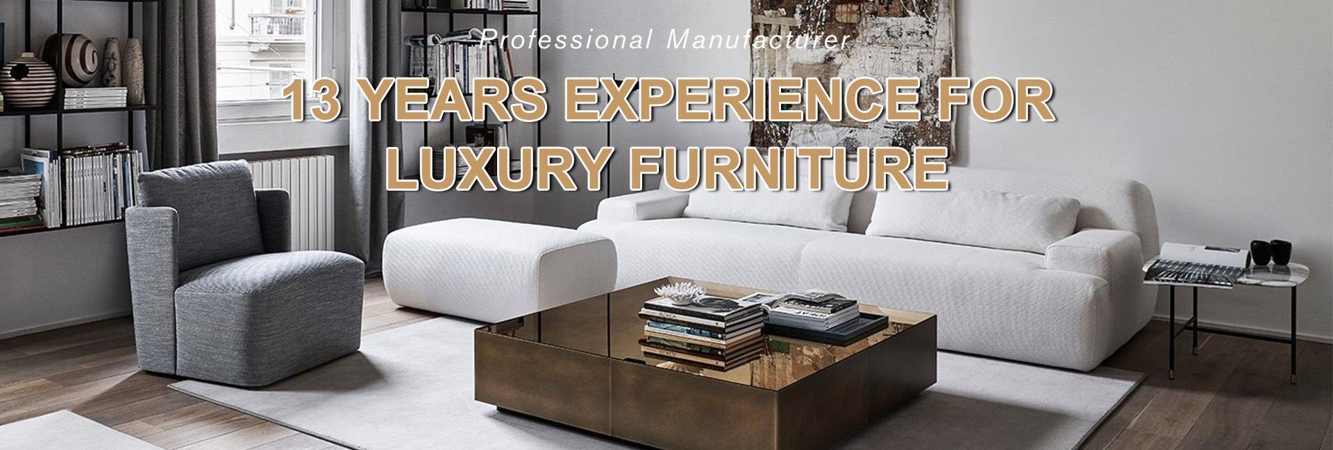 Title: The Exquisite Craftmanship and Comfort of Xinnis Furnitures Sofa Collection