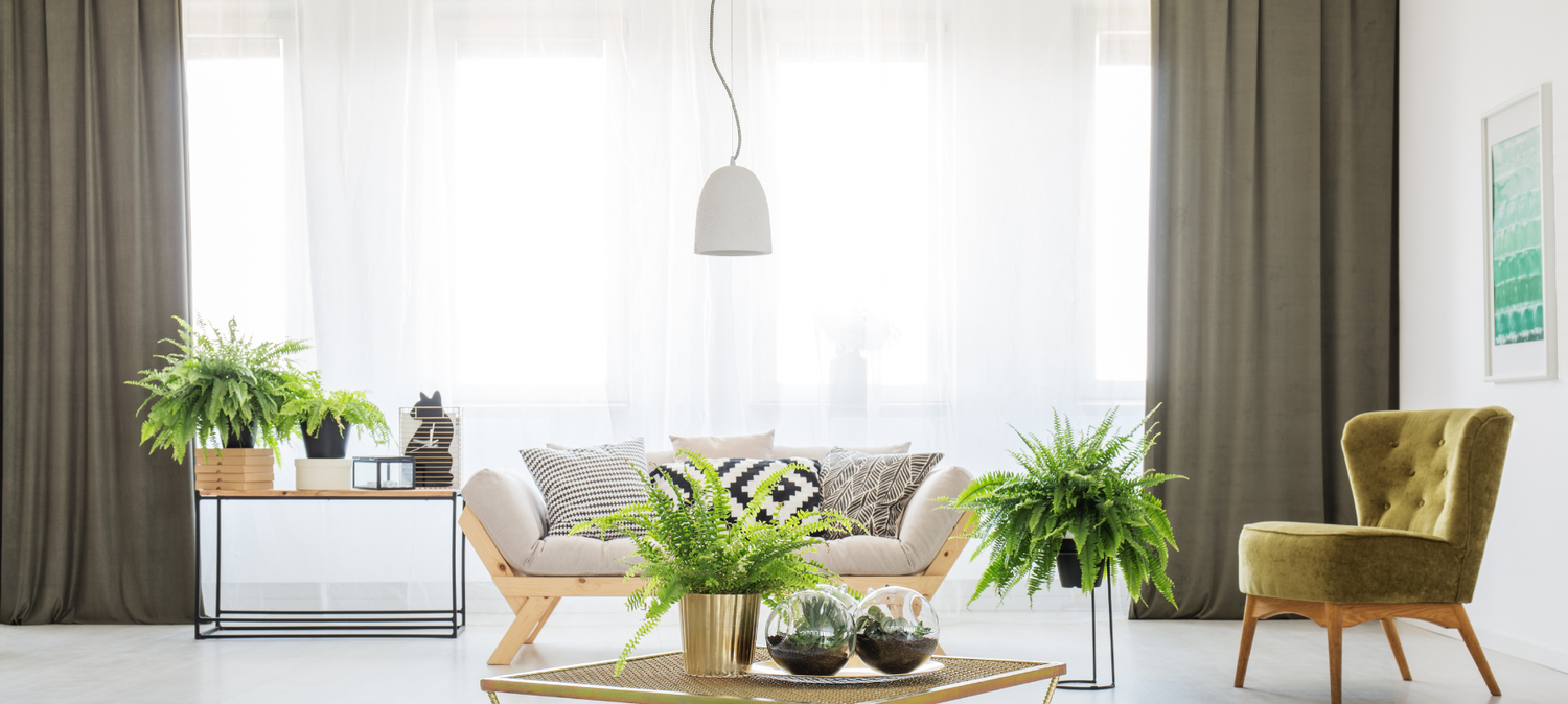 Do You Really Need Curtains for Your Living Room?