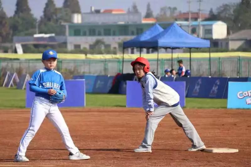 Title: Is Baseball on the Sofa? A Visual Exploration of Everyday Objects in Home Videos