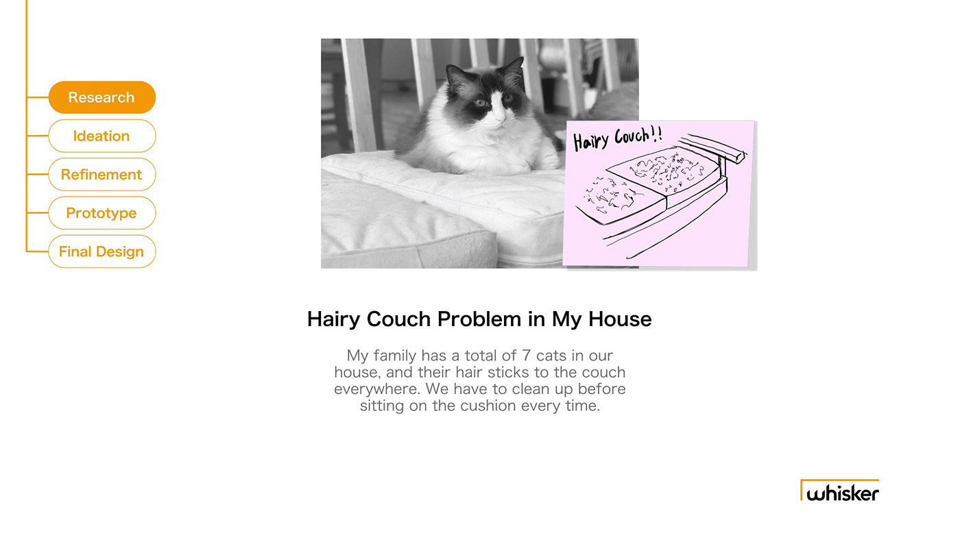 Title: The Art of Training Your Cat to Stop Scratch-Destroying Your Sofa