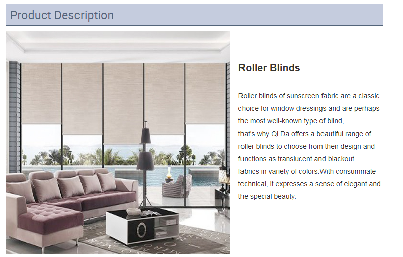 The Electric Blinds Curtains