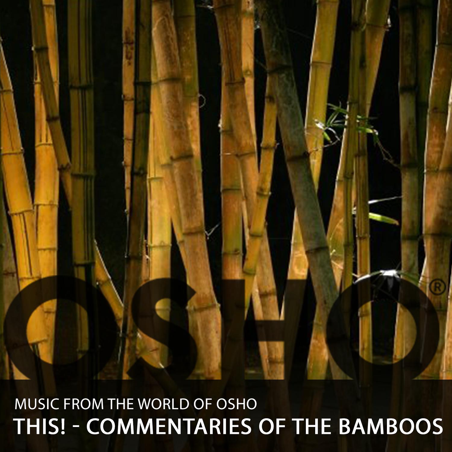 Title: The Unique Beauty of Bamboo Blinds