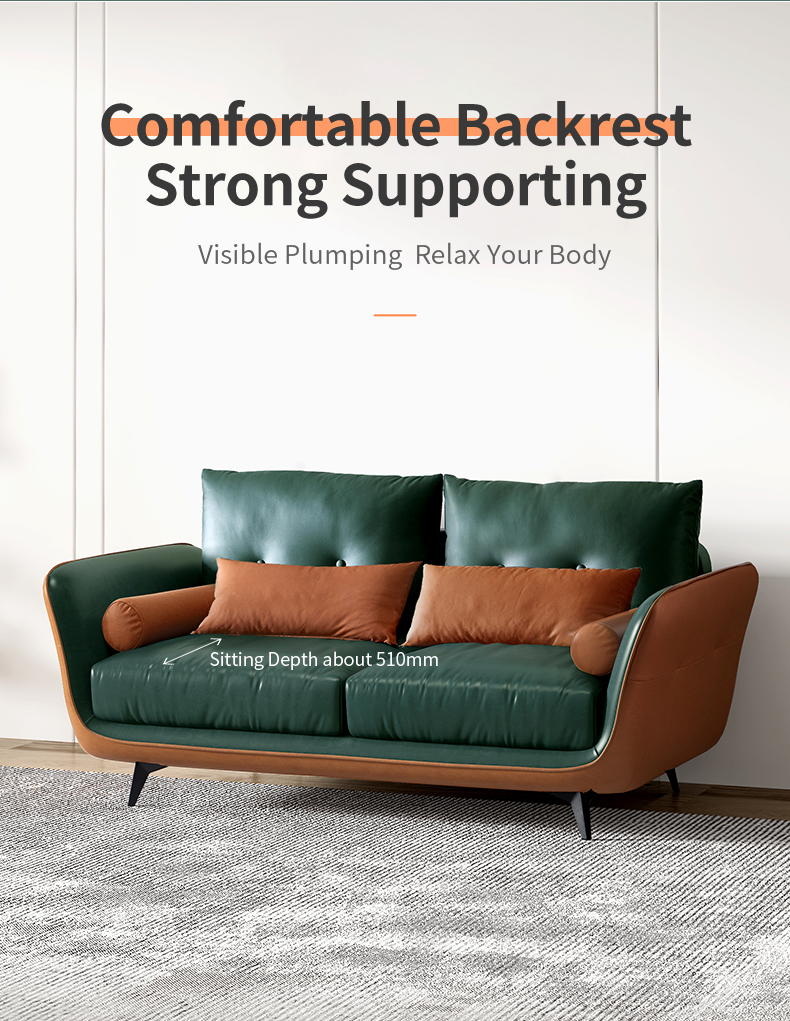 Title: Choosing the Ideal Sofa Brand: A Comprehensive Guide