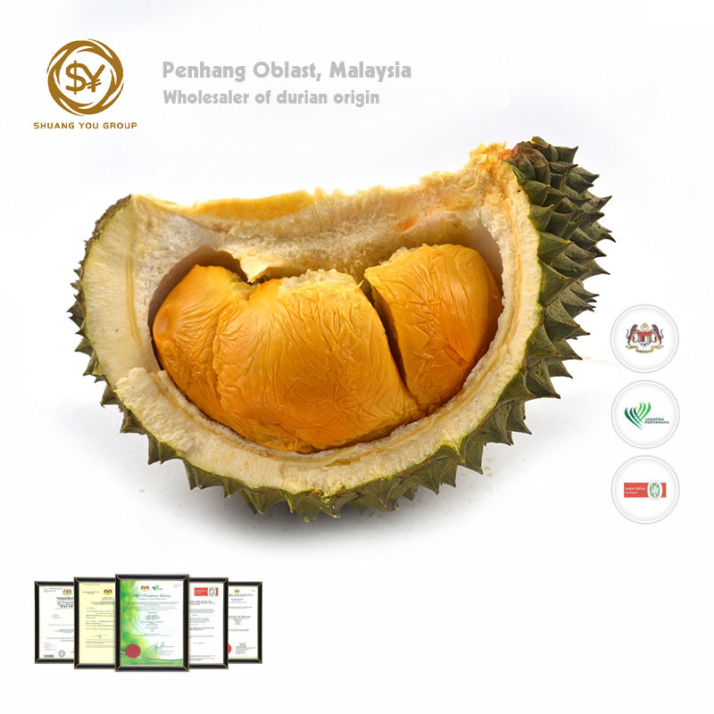 Title: Exploring the Brand Durian Furniture: A Masterpiece of Italian Craftsmanship