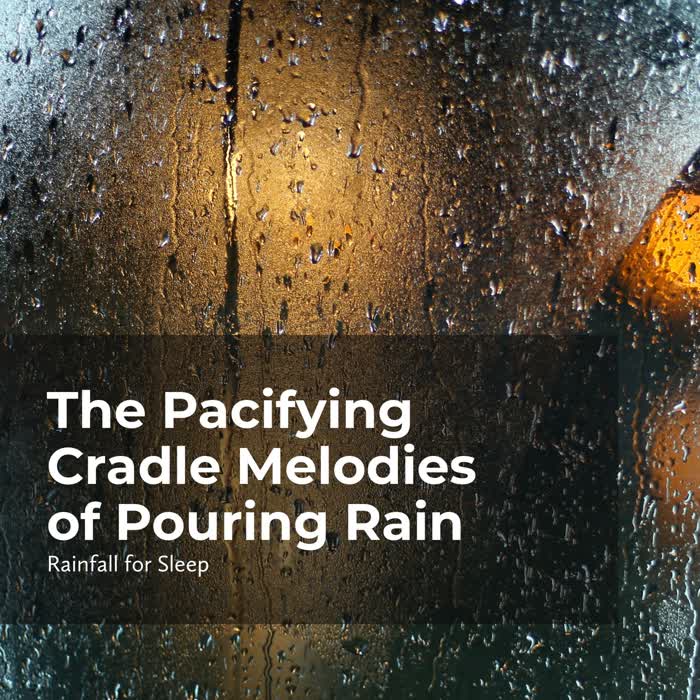 Title: The Novel of Rain Curtain