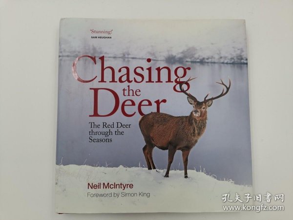 The Unique Charm of Deer King Cashmere