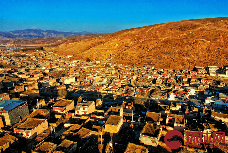 Title: The Shearling Town of Qinghe