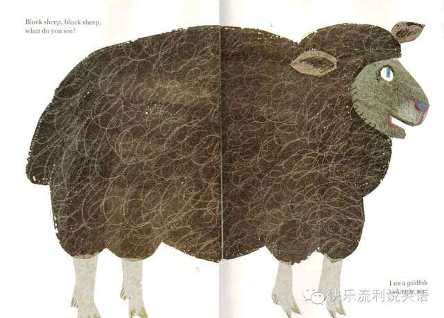 The Difference between Cashmere and Sheep Wool