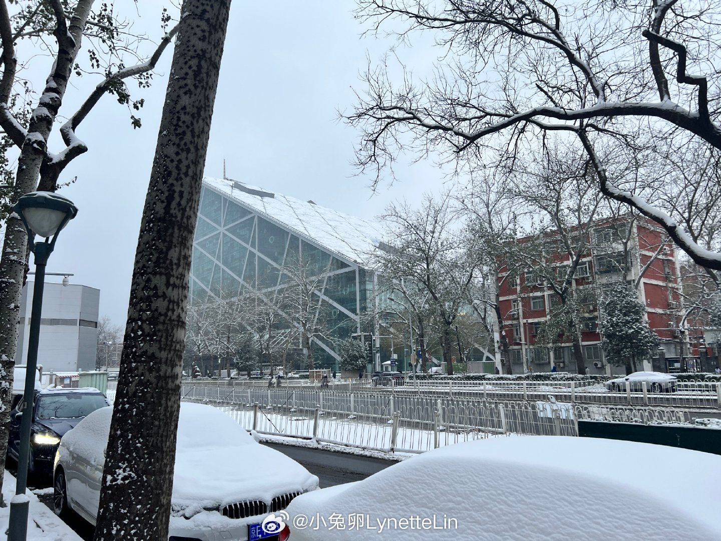 The Unique Charm of Beijing Snow Lotus Cashmere