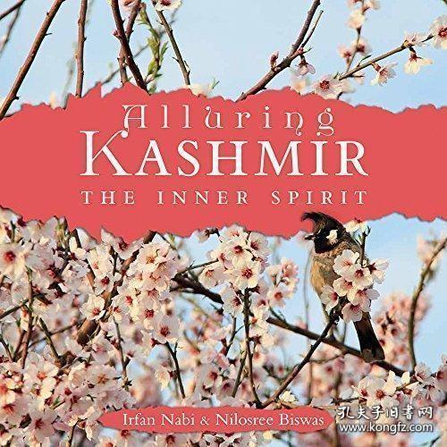 Kashmir Cashmere: The Ultimate Guide