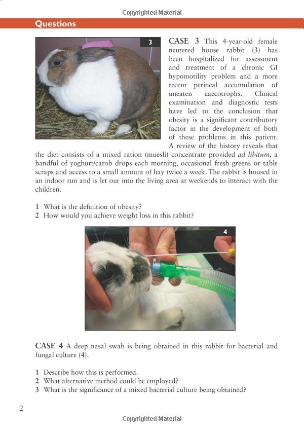 Title: The Merits of Rabbit Hair and Cashmere: A Comparative Analysis