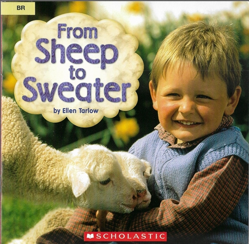 The Difference between Sheep and Cashmere Sweaters