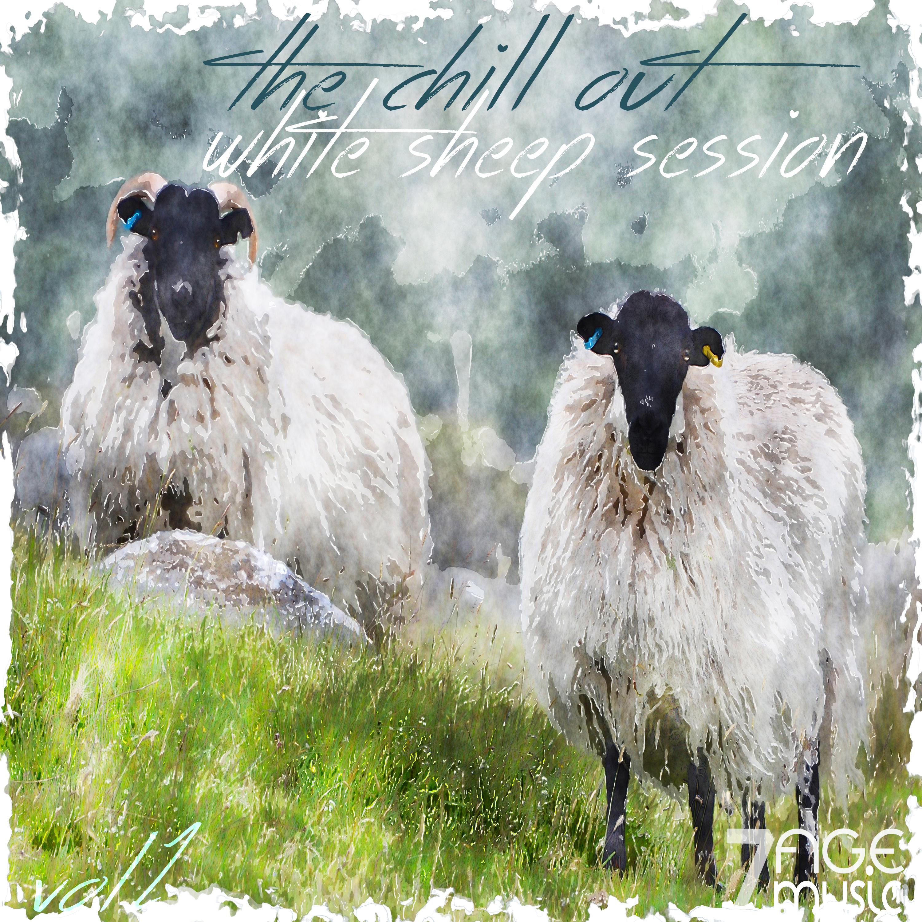 The Merino Sheep and Cashmere Goat: A Comparison of Textiles