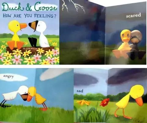 Title: The Comparison of Duck and Goose Down: Which One is Better?