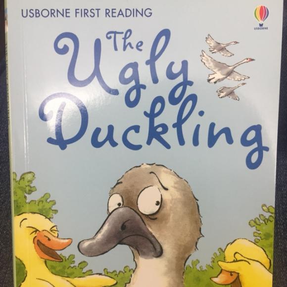 Title: The Unique Beauty of Gray Duck Down