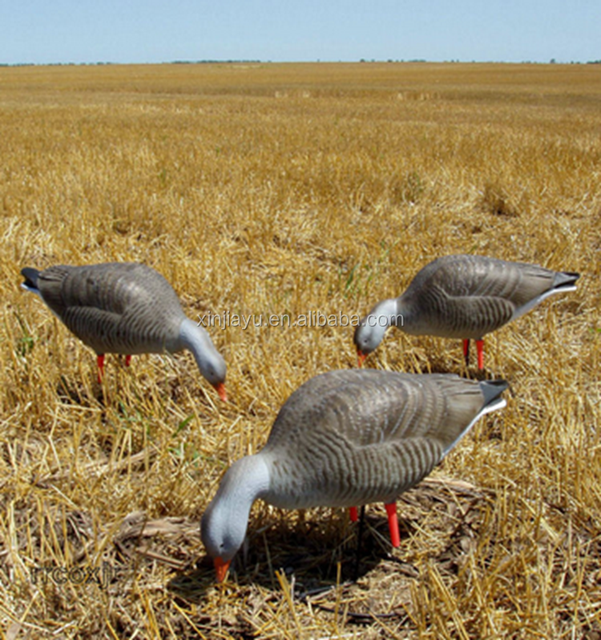 Title: The Difference between Goose and Duck Feather